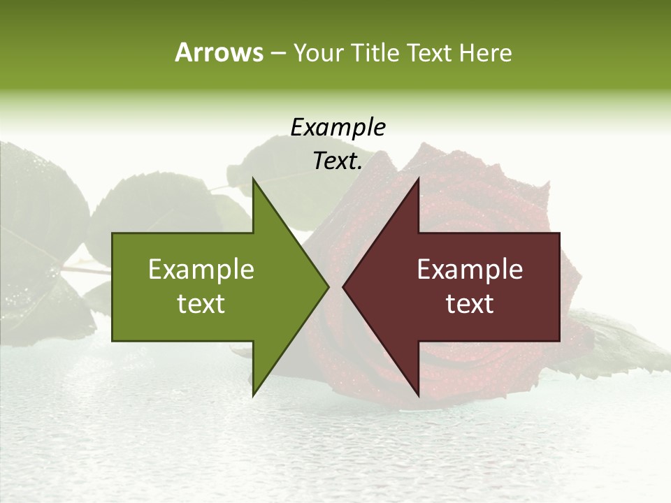 Botanical Floral Beauty PowerPoint Template