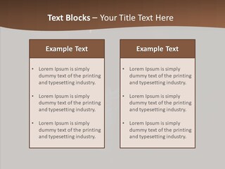 Taking Photojournalist Fashioned PowerPoint Template