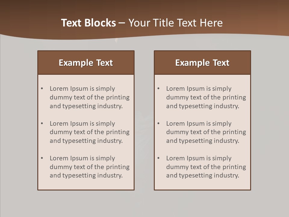Taking Photojournalist Fashioned PowerPoint Template