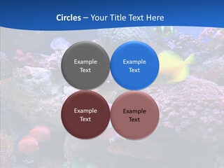 Chair Bu Ine Trategy PowerPoint Template