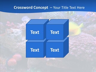 Chair Bu Ine Trategy PowerPoint Template