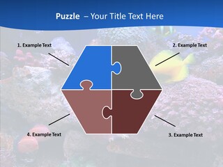 Chair Bu Ine Trategy PowerPoint Template