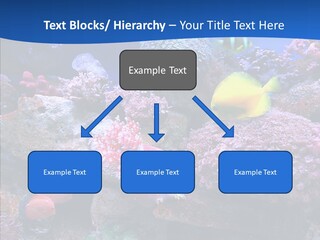 Chair Bu Ine Trategy PowerPoint Template
