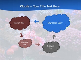 Chair Bu Ine Trategy PowerPoint Template