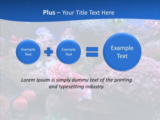 Chair Bu Ine Trategy PowerPoint Template