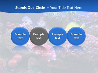 Chair Bu Ine Trategy PowerPoint Template