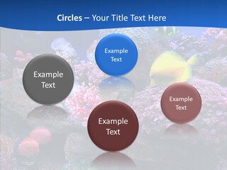 Chair Bu Ine Trategy PowerPoint Template