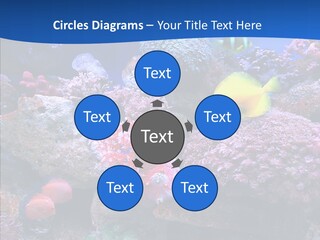 Chair Bu Ine Trategy PowerPoint Template