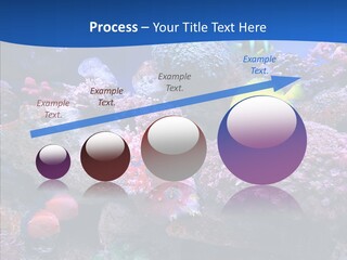 Chair Bu Ine Trategy PowerPoint Template