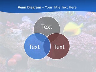 Chair Bu Ine Trategy PowerPoint Template