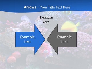 Chair Bu Ine Trategy PowerPoint Template