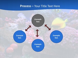 Chair Bu Ine Trategy PowerPoint Template