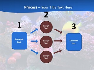 Chair Bu Ine Trategy PowerPoint Template