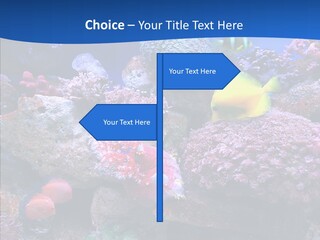 Chair Bu Ine Trategy PowerPoint Template