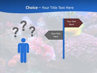 Chair Bu Ine Trategy PowerPoint Template