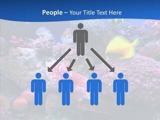 Chair Bu Ine Trategy PowerPoint Template