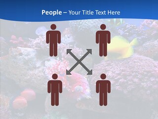 Chair Bu Ine Trategy PowerPoint Template