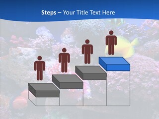 Chair Bu Ine Trategy PowerPoint Template