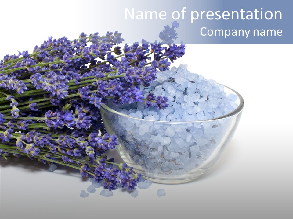 Lavender Organic Treatment PowerPoint Template
