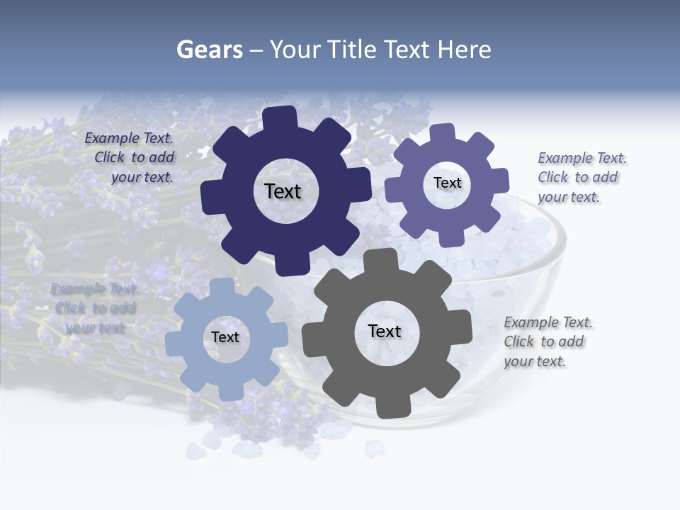 Lavender Organic Treatment PowerPoint Template