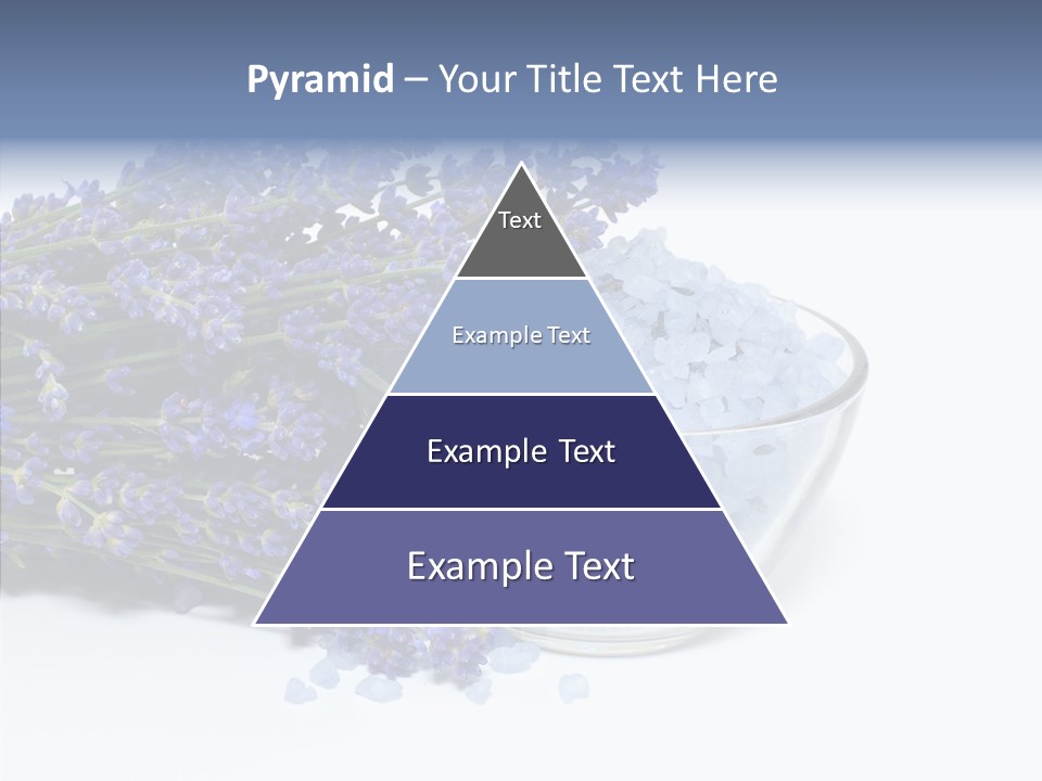 Lavender Organic Treatment PowerPoint Template
