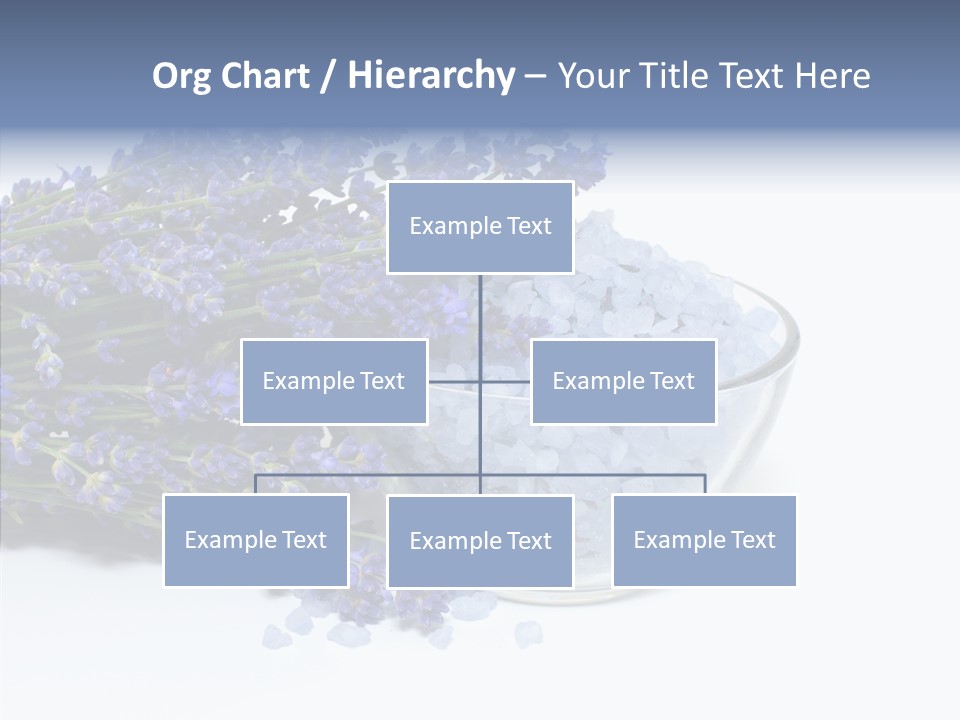 Lavender Organic Treatment PowerPoint Template