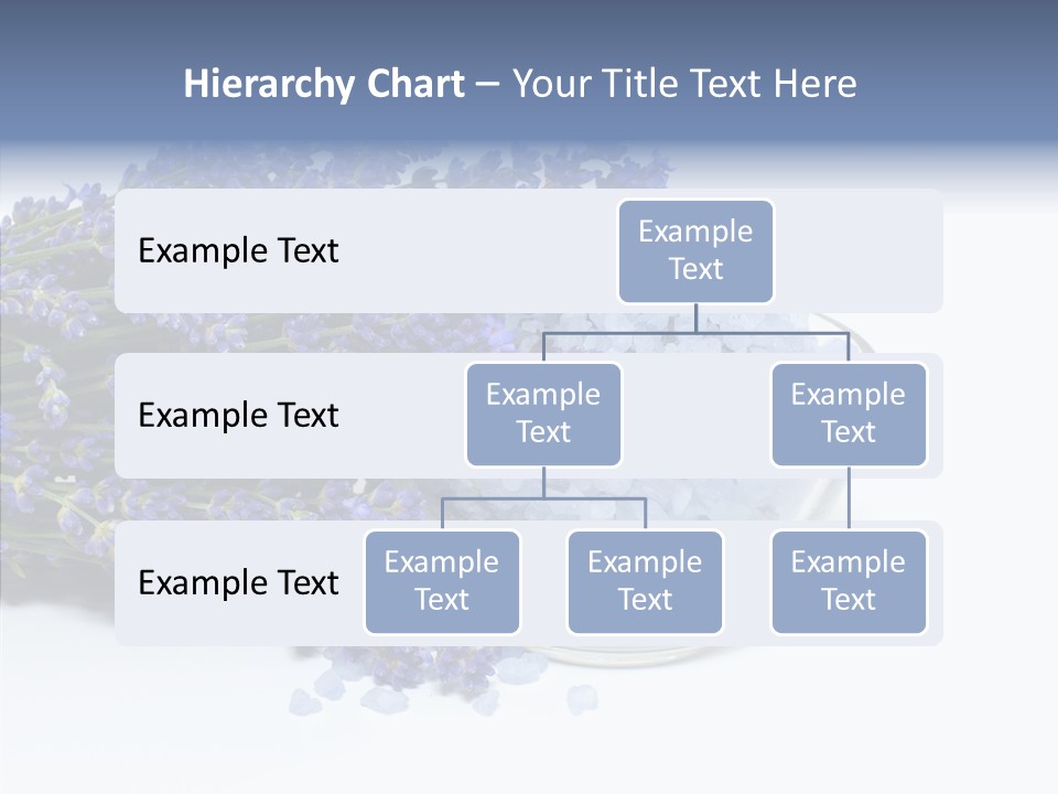 Lavender Organic Treatment PowerPoint Template