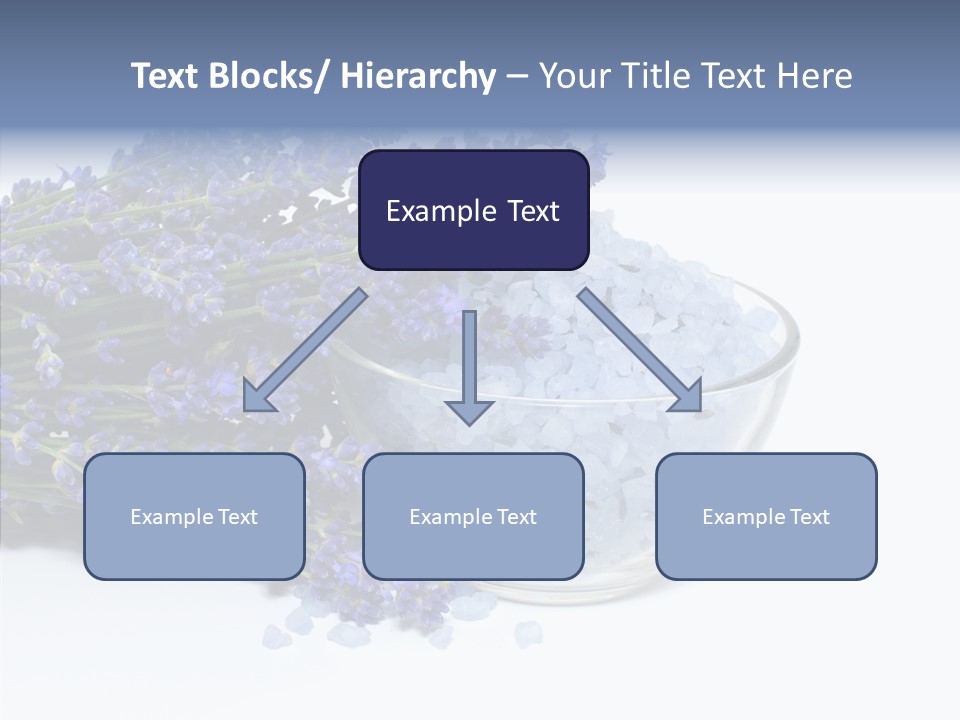 Lavender Organic Treatment PowerPoint Template