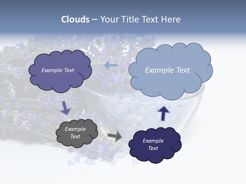 Lavender Organic Treatment PowerPoint Template