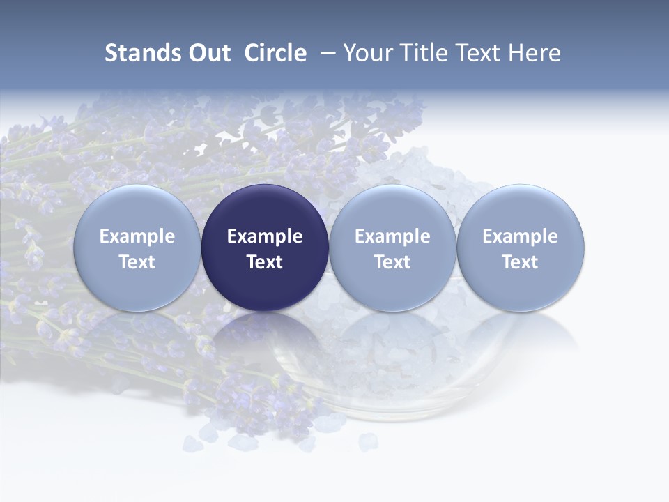 Lavender Organic Treatment PowerPoint Template