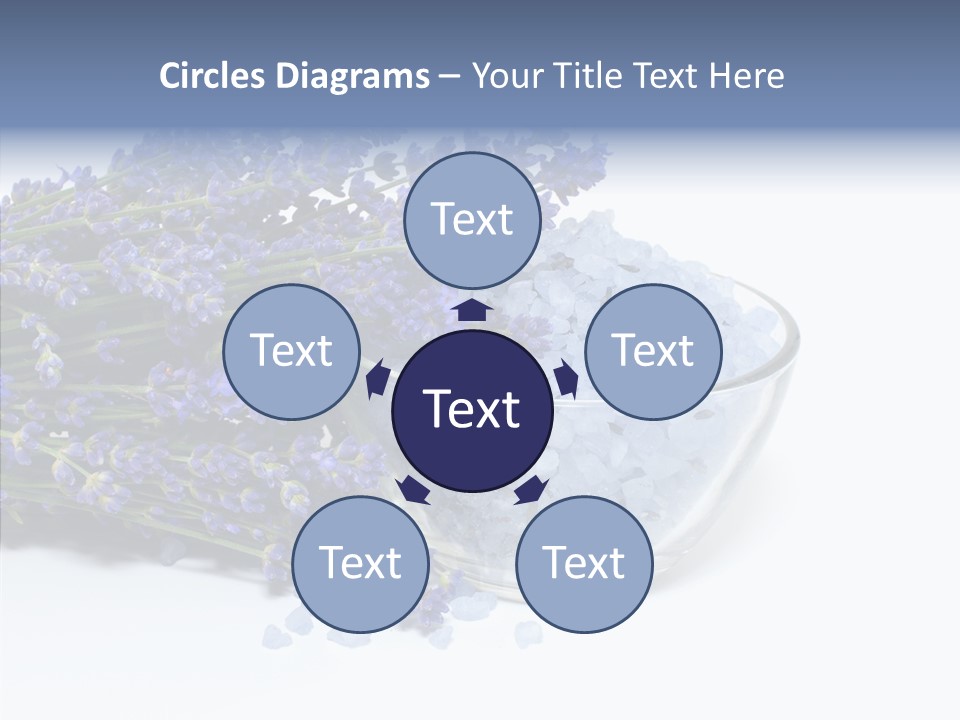 Lavender Organic Treatment PowerPoint Template