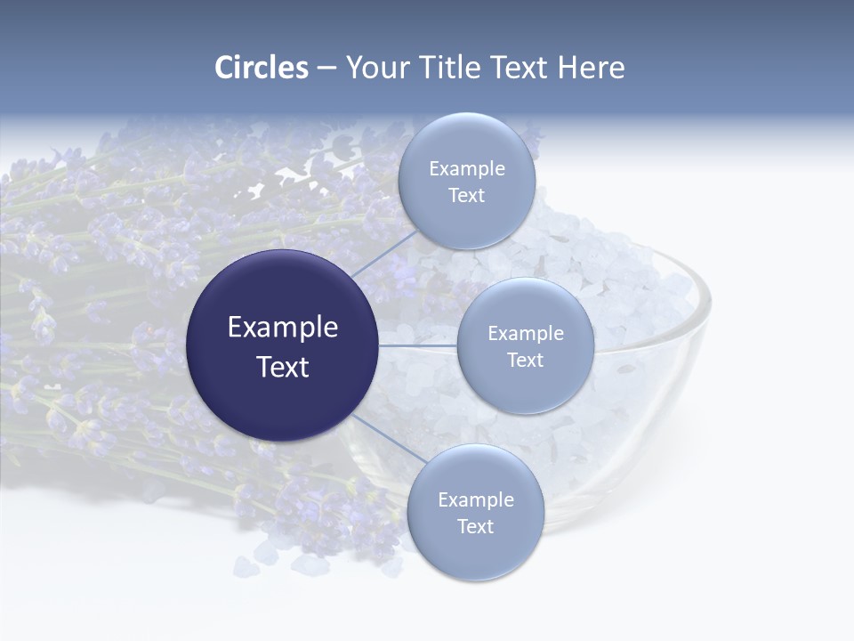 Lavender Organic Treatment PowerPoint Template
