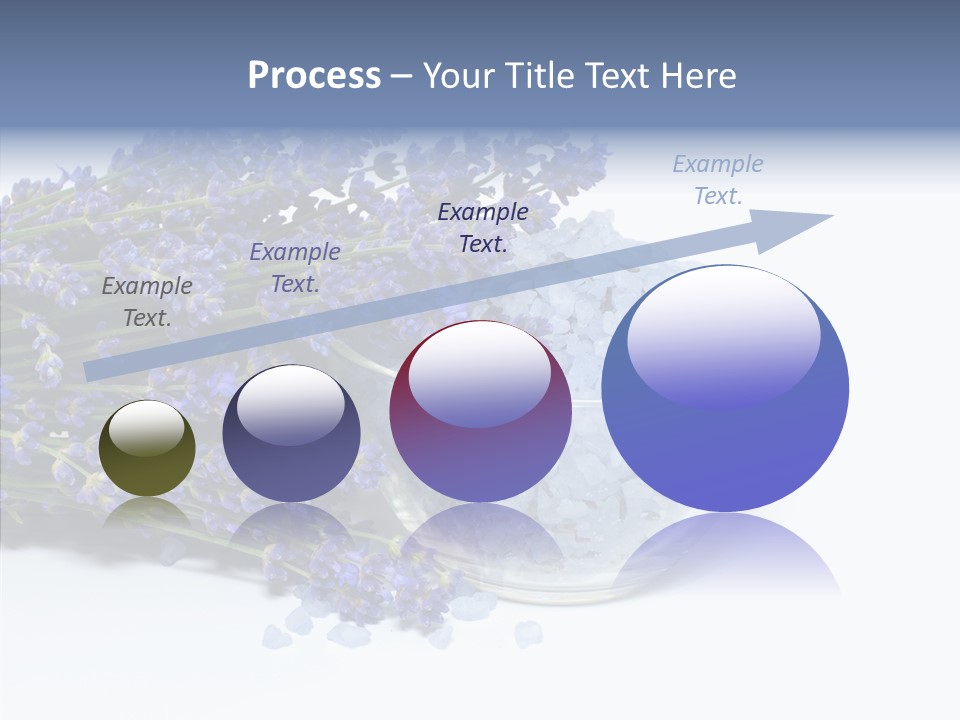 Lavender Organic Treatment PowerPoint Template