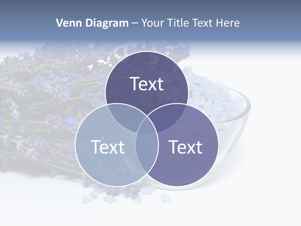 Lavender Organic Treatment PowerPoint Template