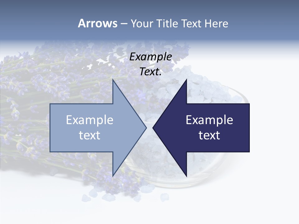 Lavender Organic Treatment PowerPoint Template