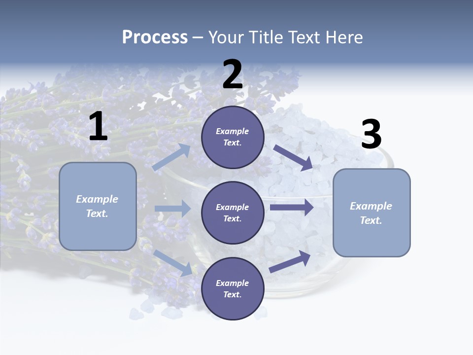 Lavender Organic Treatment PowerPoint Template