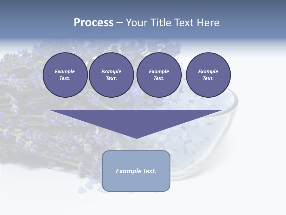 Lavender Organic Treatment PowerPoint Template