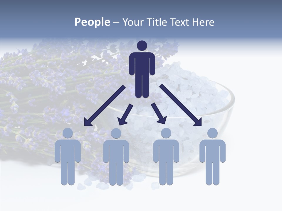 Lavender Organic Treatment PowerPoint Template