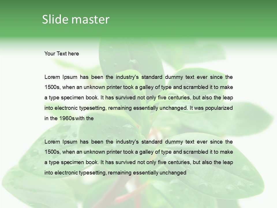 Peperomia Leaves Leafs PowerPoint Template