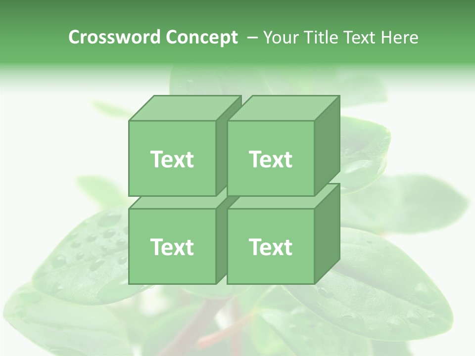 Peperomia Leaves Leafs PowerPoint Template