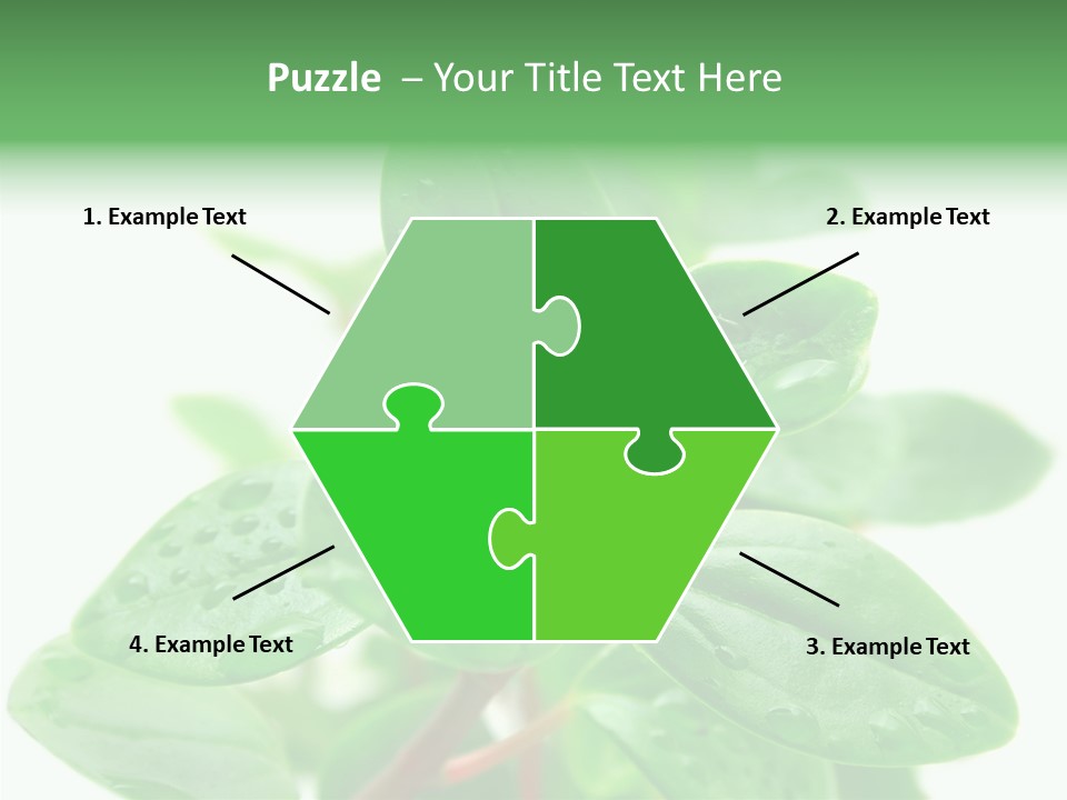 Peperomia Leaves Leafs PowerPoint Template