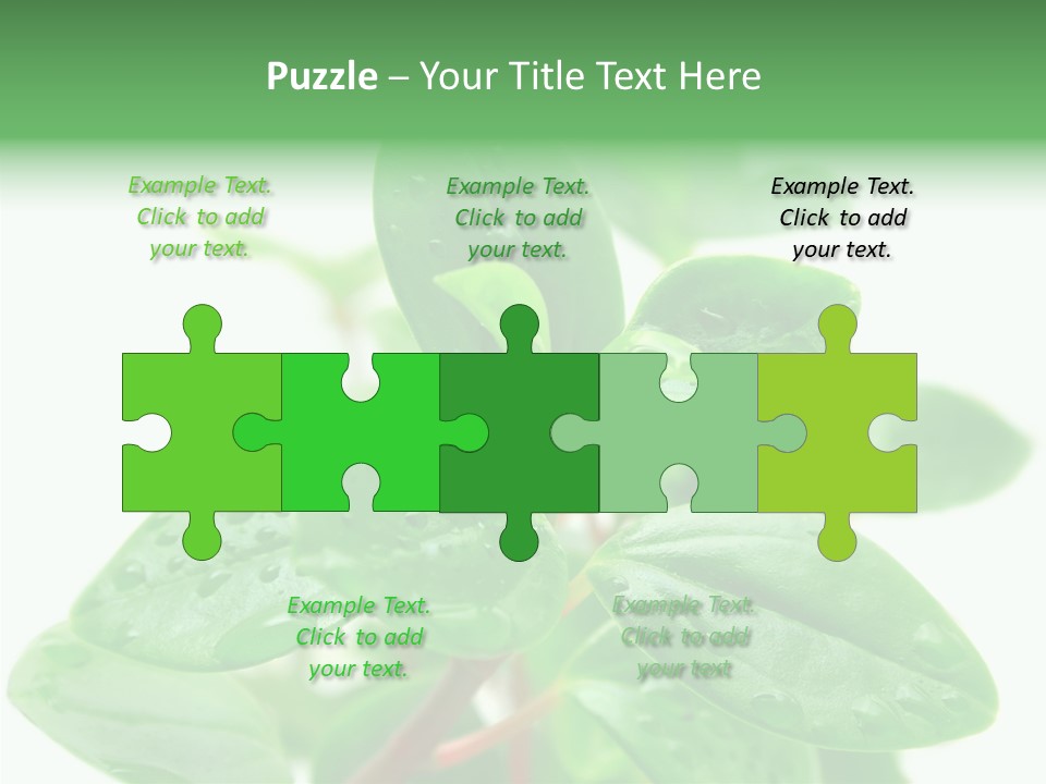 Peperomia Leaves Leafs PowerPoint Template