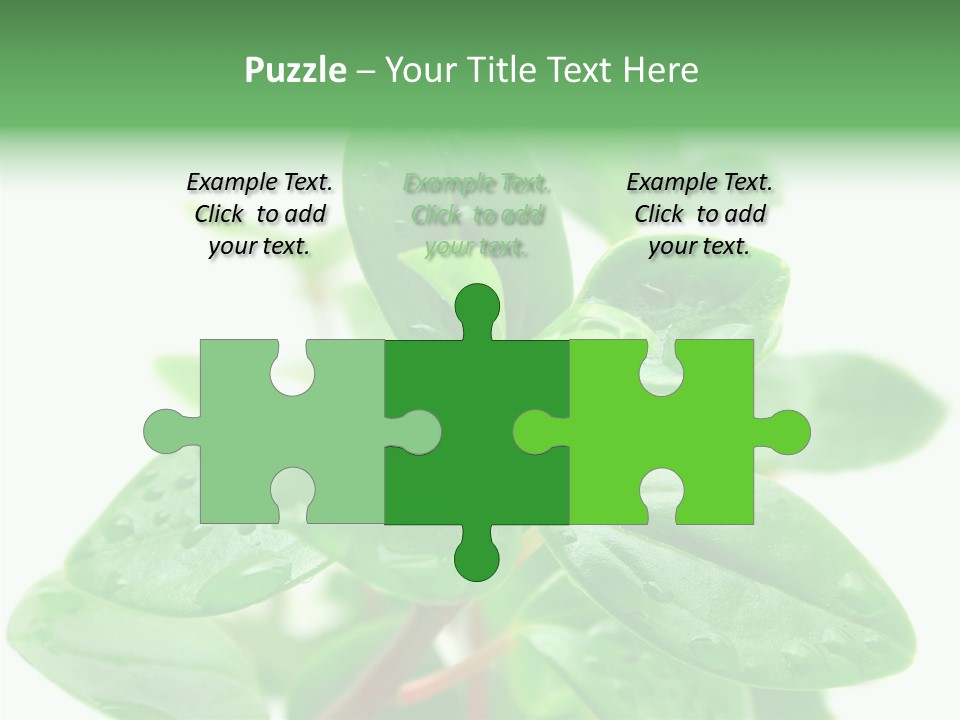 Peperomia Leaves Leafs PowerPoint Template