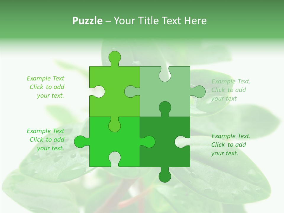 Peperomia Leaves Leafs PowerPoint Template