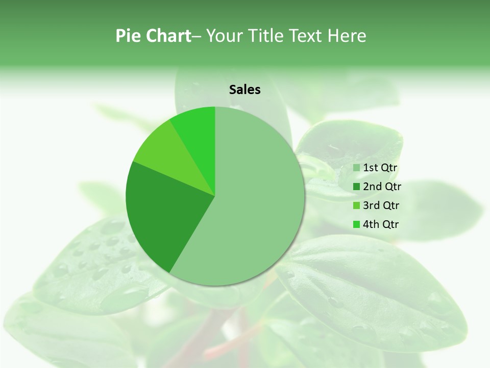 Peperomia Leaves Leafs PowerPoint Template