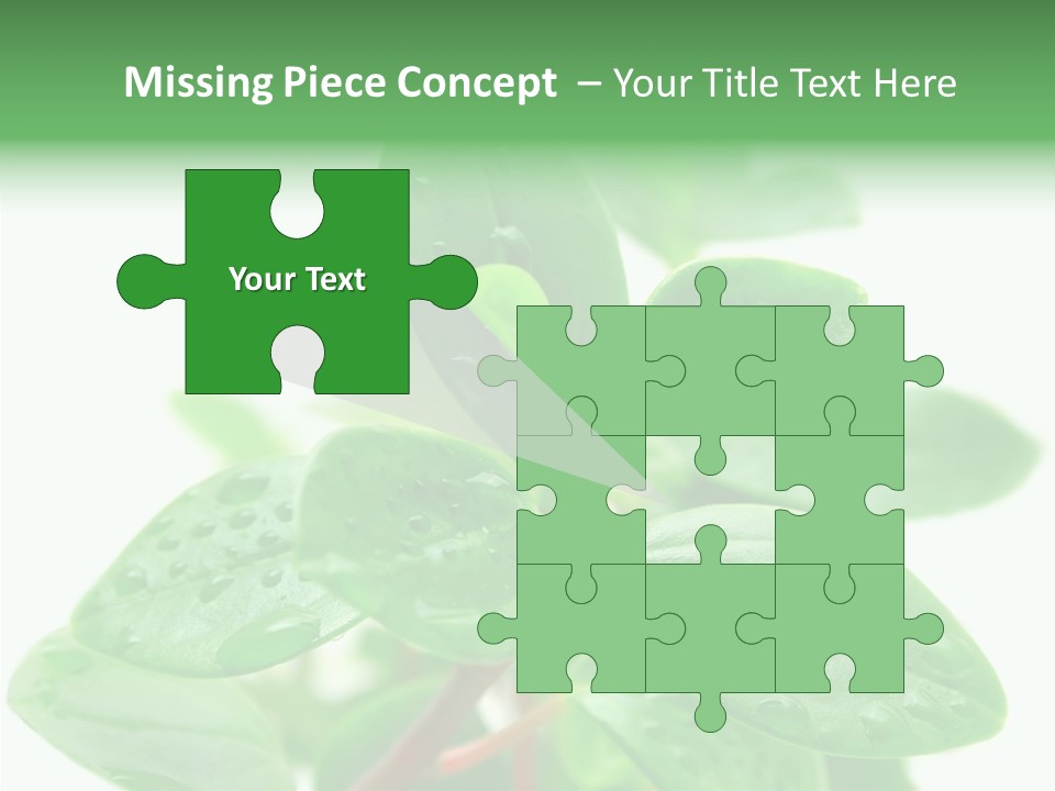 Peperomia Leaves Leafs PowerPoint Template