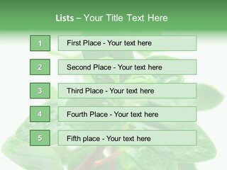 Peperomia Leaves Leafs PowerPoint Template