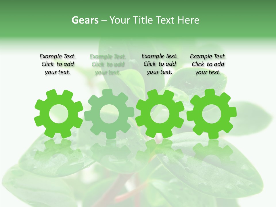 Peperomia Leaves Leafs PowerPoint Template