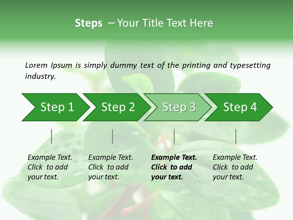Peperomia Leaves Leafs PowerPoint Template