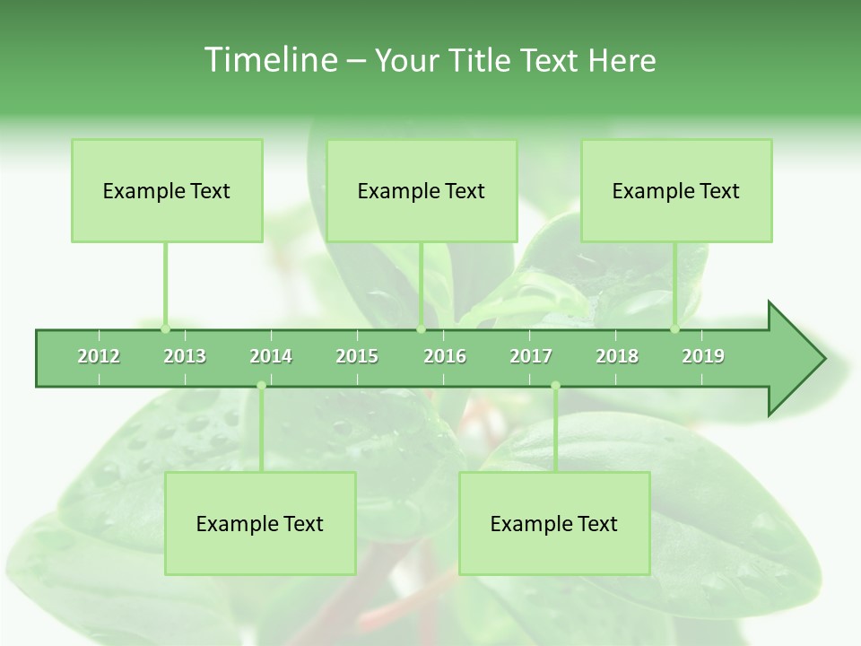Peperomia Leaves Leafs PowerPoint Template